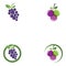 Grapes logo template vector icon illustration design.