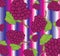 Grapes pattern