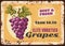 Grapes rusty metal plate, vintage rust tin sign