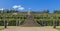 Grapes terraces and Sanssouci Palace