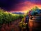 Grapes in the Vineyard Sunset. wine barrel. vibrant sunset.