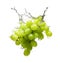 Grapes with water splash isolated