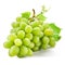 grapes white pictures