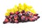 Grapes on a white background, bunches of grapes of different varieties and colors, close-up
