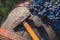 Grapes and winemaking hammer on the barrel