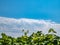 Grapevine against a background of blue sky with clouds.