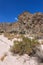 Grapevine Canyon - Nevada