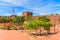 Grapevine and flowers on square of castle in Silves town