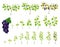 Grapevine Growth Life and Germinate Process Steps Big Vector Set