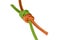 Grapevine knot, green and orange rope.