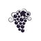 Grapevine with leaf. Grapes icon.