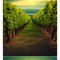 Grapevines isolated on transparent background - Generative AI