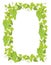 Grapevines plant frame A4 sheet banner. Rectangular border grape frame. Space place for text name or logo. Vector flat