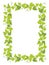 Grapevines plant frame A4 sheet wine list. Rectangular border grape frame. Space place for text name or logo. Vector flat
