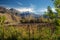 Grapeyard , Vineyard. Elqui Valley, Andes part of Atacama Desert