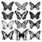 Graphic abstract butterflies set. Black and white