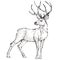 Graphic animal boho illustration - black and white isolated deer / reindeer