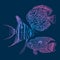 Graphic Aquarium Fishes Set