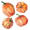 Graphic artistic abstract bright cute autumn ripe tasty colorful halloween four orange pumpkins