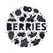 Graphic berries elements with hand drawn text. Monochrome round illustration. Black silhouette icons, isolated lettering.