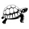 Graphic black turtle on white background, vector