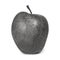 Graphic black and white apple. Vector stylized apple isolated on white background. Stipple vector apple illustration. Apple in
