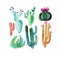 Graphic bright gorgeous sophisticated lovely cute magnificent floral herbal spring colorful seven different cacti with flowers pat