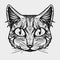 Graphic Cat face. Cats illustration. Good print. Animal muzzle.