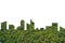 Graphic of City Shape on Forest texture background. Green Building Architecture