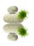 Graphic composition with balancing pebbles and chrysanthemum flower