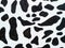 Graphic Dalmatian Print. Hand Paint. Chaotic