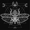 Graphic decorative image of the Mantis. Sacred geometry. Esoteric, Mysticism, Sorcery.