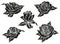 Graphic detailed cartoon rose bud vector set