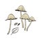 Graphic drawing of toadstool mushrooms with leaves on a beige background, close up