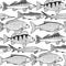 Graphic freshwater fish pattern