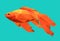Graphic goldfish on blue background
