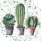 Graphic herbal beautiful wonderful floral herbal gorgeous cute spring colorful three cactus in pots watercolor