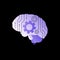 Graphic Human Brain. Artificial Intelligence Element