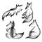 Graphic illustartion of little wild foxes isolate on white background