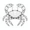 Graphic Illustration Of A Crab With Strong Linear Elements