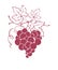 Graphic illustration - grapes in the shape of a heart