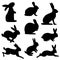 Graphic illustration of isolated silhouettes of rabbits - suitable for an Easter concept