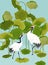 Graphic Illustration of Japaneese Cranes and Tropical Lotus Flowers for T-shirt design, Fashion prints, Banner, Flyer