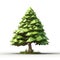 Graphic illustration of a mature tree in 3D lowpoly style.