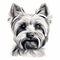 Graphic Illustration Of A Westie: Contoured Shading And Hand-painted Details