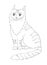 Graphic linear black and white drawing of striped fluffy cat