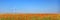 Graphic modern panorama of wind turbines in a poppies field