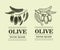 Graphic olive branch. Hand drawn logo template. Vector illustration used for advertising natural olive products. vintage