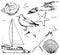 Graphic outline set with seven marine objects