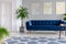 Graphic paintings on a gray wall behind a luxuries velvet dark blue couch in an elegant living room interior with gold accents. Re